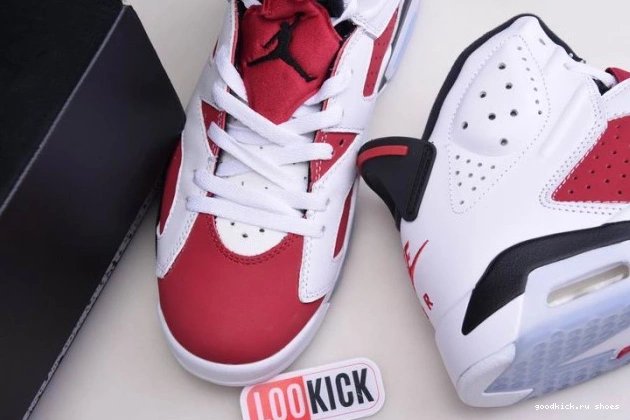 Rep 6 'CARMINE' JORDAN RETRO CT8529-106 2021 AIR 0825